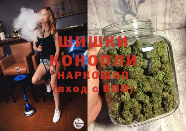 МДПВ Дмитров
